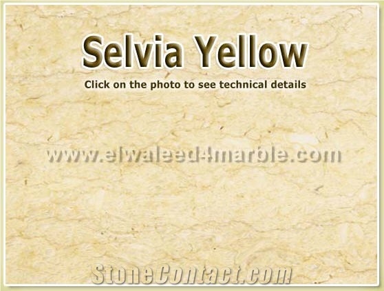 Selvia Yellow, Silvia Oro Yellow Marble Slabs