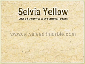 Selvia Yellow, Silvia Oro Yellow Marble Slabs