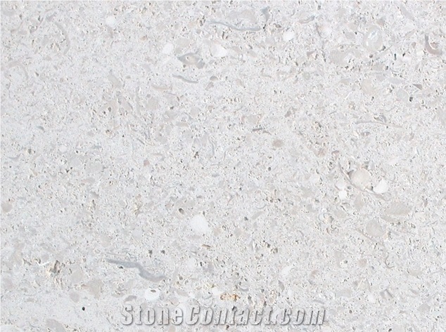 Perryfield Shelly Limestone Slabs & Tiles, United Kingdom Grey Limestone