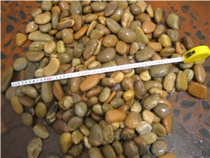 Natural Yellow Pebble Stone