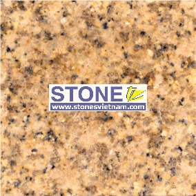 Granite Yellow Stones Vietnam