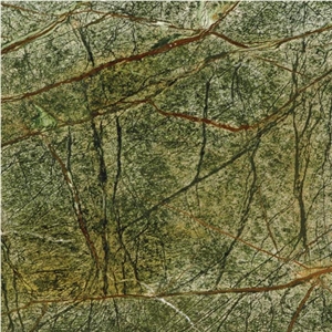 Rain Forest Green Marble Slabs & Tiles, India Green Marble