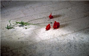 Oland Stone Gray Floor