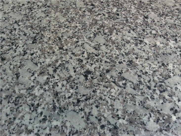 China Bala Flower Granite Slabs & Tiles, China White Granite
