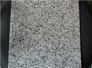 G640 Granite Slabs & Tiles, China White Granite