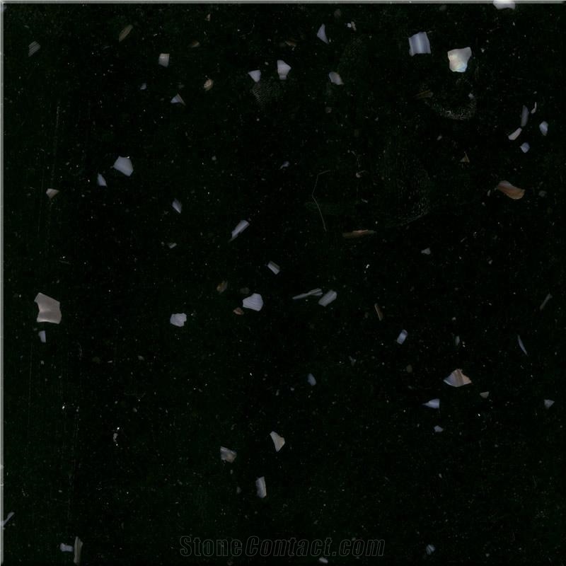 Shell Black Marble Agglomerate Stone - BB1012