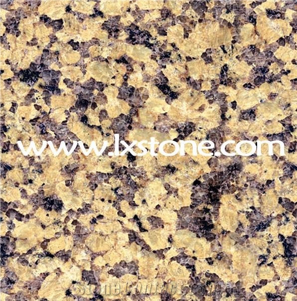Chrysanthemum Yellow Granite Slabs & Tiles, China Yellow Granite