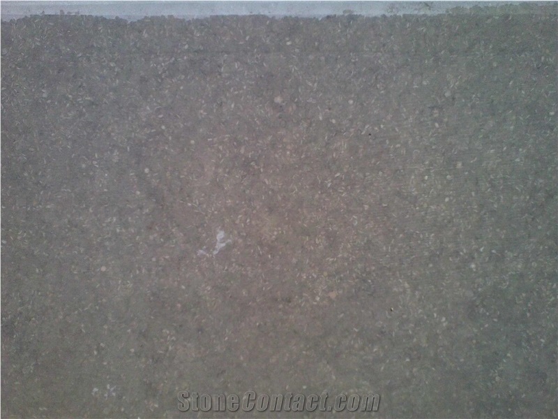 Sea Grass Limestone Slabs & Tiles, Turkey Grey Limestone