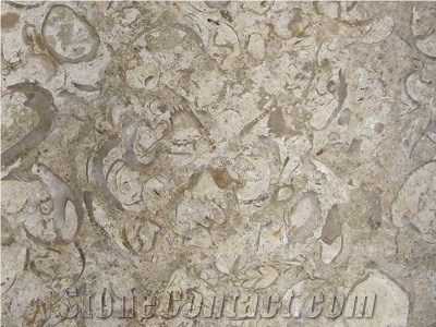 Shell Brown Limestone Slabs & Tiles