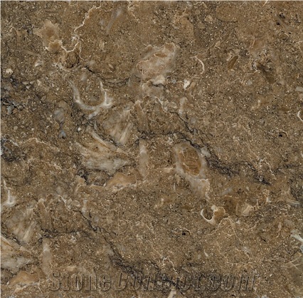 Rasotica Limestone Slabs & Tiles, Croatia Brown Limestone