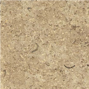 Sinai Pearl Dark Limestone Slabs & Tiles, Egypt Beige Limestone