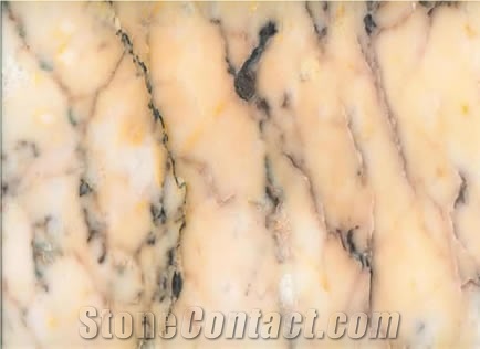 Volos Red Brown Marble
