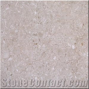Crema Oyster Marble Slabs & Tiles