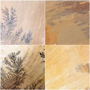 Fossil Sandstone Slabs & Tiles, India Beige Sandstone