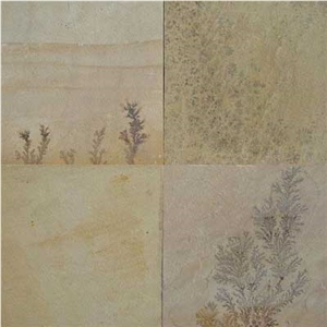 Fossil Mint Sandstone Slabs & Tiles, India Beige Sandstone