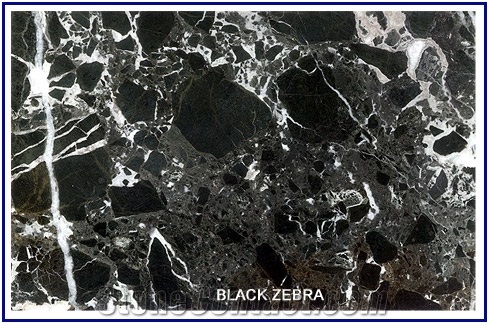 Black Zebra Marble Slabs & Tiles, Pakistan Black Marble