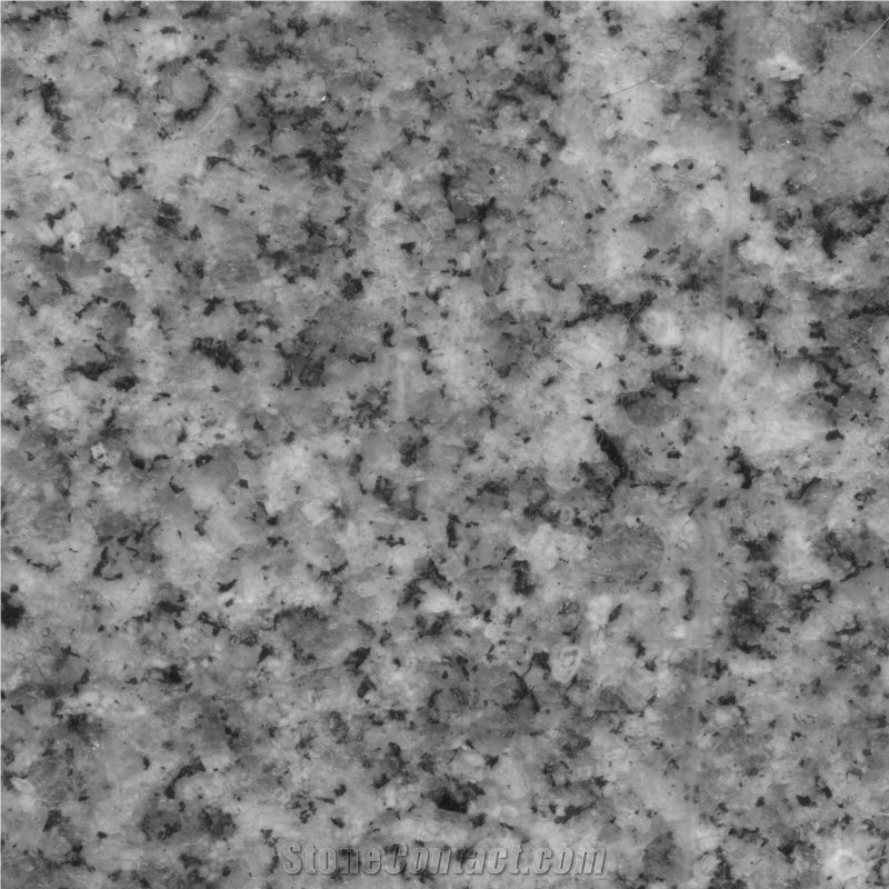 Bianco Ostrika Granite Slabs & Tiles