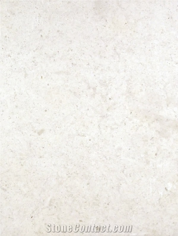 Lauder Limestone Slabs & Tiles, France White Limestone