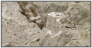 Aurisina Fiorita Limestone Tiles, Italy Beige Limestone