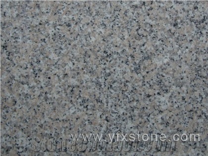 G636-Granite Tile / Granite Slab