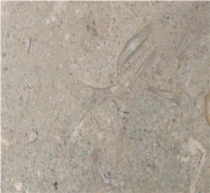 Crema Patricia Fossil Limestone