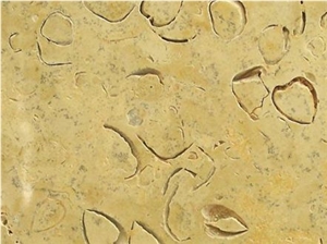 Beige Shellstone Tile