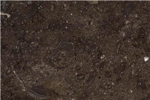 Champlain Black Limestone Slabs & Tiles, United States Black Limestone
