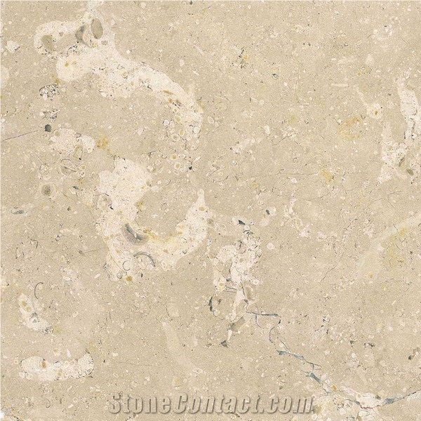 French Limestone - Chambord Beige