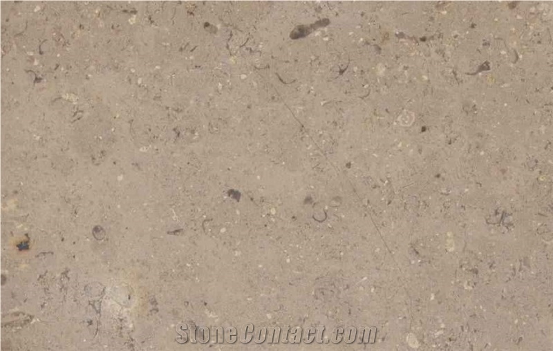 Sinai Pearl Limestone Slabs & Tiles, Egypt Beige Limestone