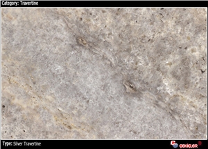 Silver Travertine Slabs & Tiles, Turkey Grey Travertine