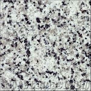 White Natanz Granite Slabs & Tiles, Iran White Granite