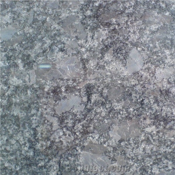 Steel Grey Granite Slabs & Tiles, India Grey Granite