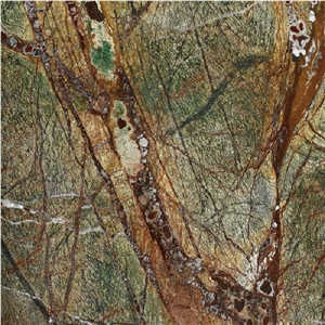 Rain Forest Green Marble Slabs & Tiles, India Green Marble