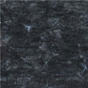 Dark Palm Marble Slabs & Tiles, Viet Nam Black Marble