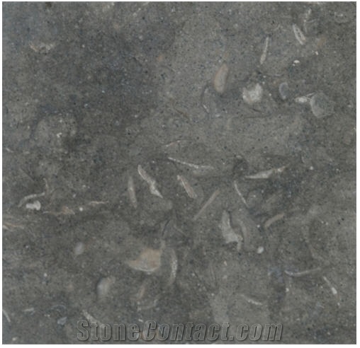 Blue Gray Limestone Slabs & Tiles