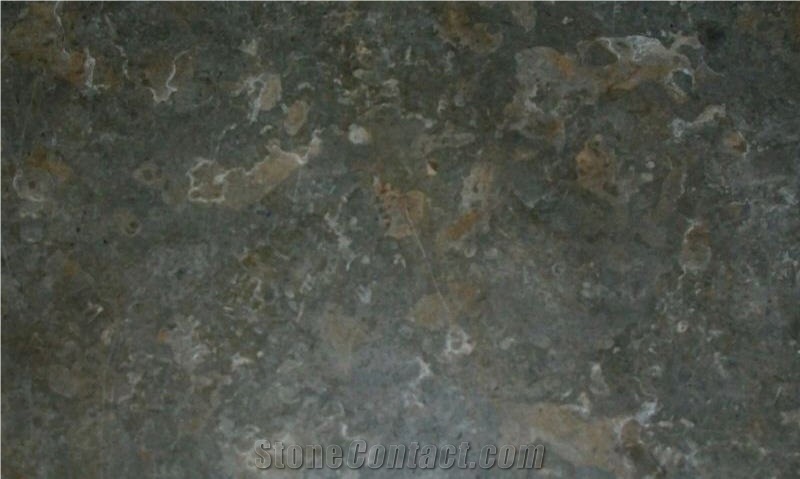 Yellowish Grey Limestone Slabs & Tiles, Egypt Grey Limestone