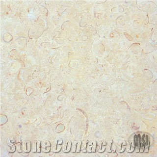 Sisal Shellstone Limestone Slabs & Tiles, Mexico Beige Limestone