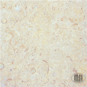 Sisal Shellstone Limestone Slabs & Tiles, Mexico Beige Limestone