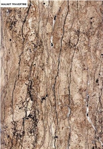 Iran Walnut Travertine Slabs & Tiles, Iran Brown Travertine