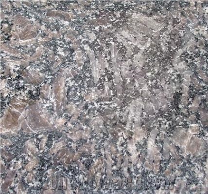 China Baltic Brown Granite Slabs & Tiles