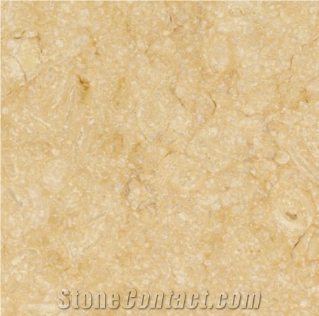 Giallo Atlantide Limestone Slabs & Tiles, Egypt Yellow Limestone