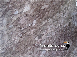 Brunello Quartzite Slabs & Tiles, Brazil Brown Quartzite