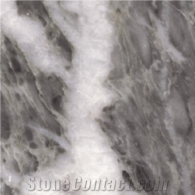 Moncervetto Marble Slabs & Tiles, Italy Grey Marble