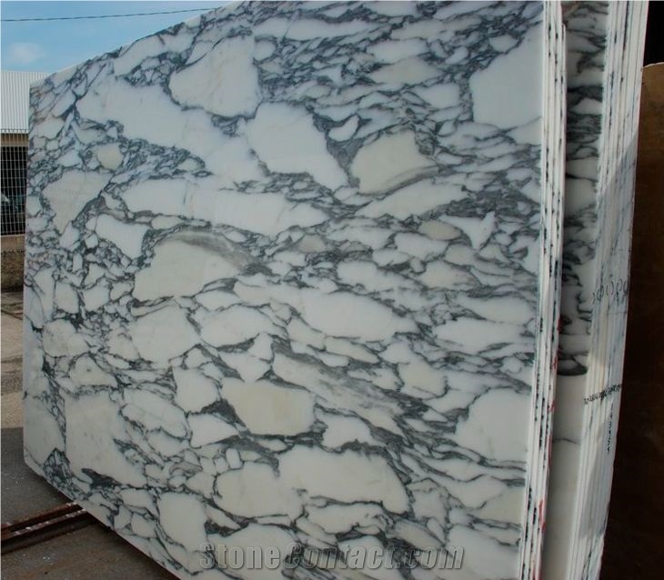 Arabescato Corchia Marble Slab, Italy White Marble