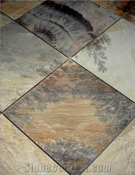 Mint Fossil Sandstone Tile, India Beige Sandstone