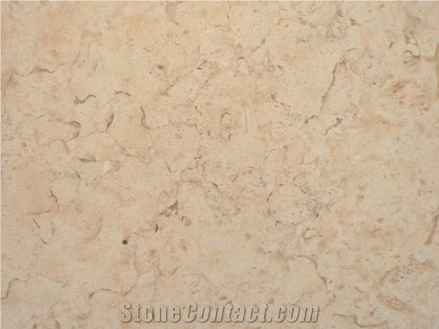 Jerusalem Bone Limestone Slabs & Tiles, Israel White Limestone