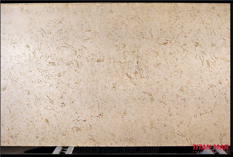 Cream Fossil, Turkey Beige Limestone Slabs & Tiles