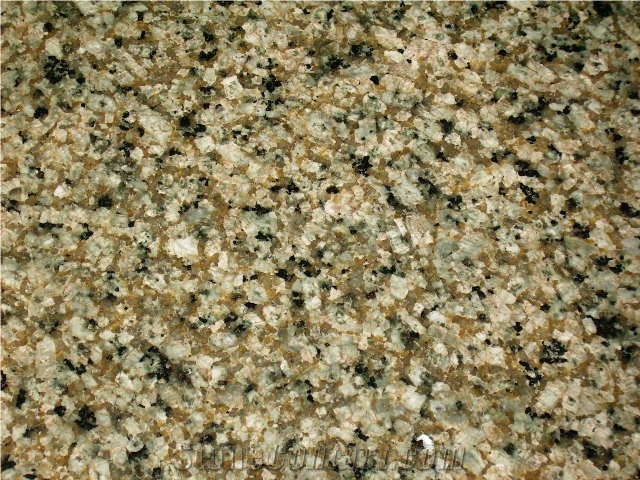 Verde Ventura Granite Slabs & Tiles, Brazil Green Granite