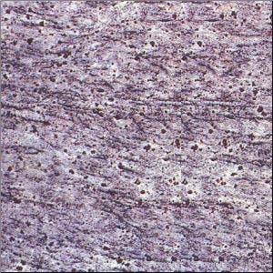 Lavender Blue Granite Slabs & Tiles, India Blue Granite