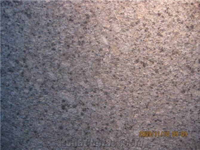Roma Tropical Brown Granite Slabs & Tiles